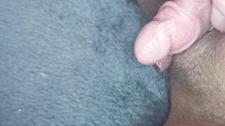 Do you want to fap off my XXL nub beef whistle FTM?