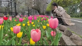 【個人撮影】SMシリーズ❤︎おうちに帰ってきた彼女をいきなり目隠し&amp;拘束して、おっぱいを舐めまくる素人カップル動画♡／Japanese amateur hentai ／日本人／パイパン／色白／美少女