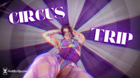 Circus Trip