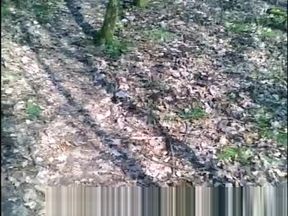 From Neurossis: Rest Area Woods with Daddies and Bears!