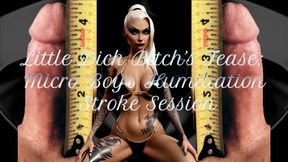 MISTRESS SHE : Little Dick Bitch’s Tease  Micro Boy’s Humiliation Stroke Session