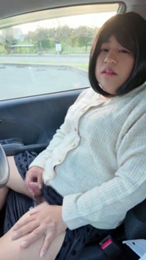 A pervert who masturbates in a car.