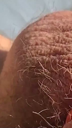 Thick, fat, hard banded cock comes without squirting during horny banding session   Clip 1