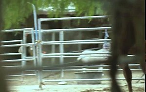Hunk studs Clark Davis and Vincent Orielly outdoor anal sex