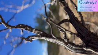 Licking the soles of my feet for the first time