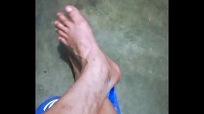 Pies