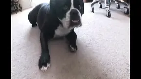 This perfect sexy milf with big tits is ideal to please with a big black cock