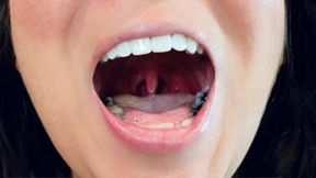 Mouth Admiration