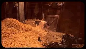 Penny Pax's Sensual Submission: Whipped and Fucked by Owen Gray