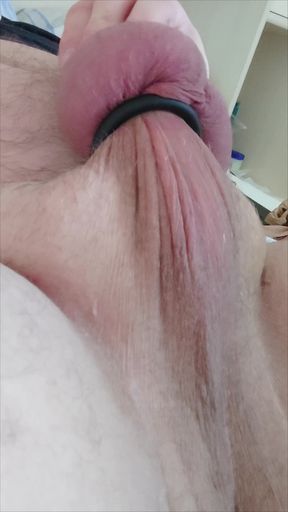 Horny release of the penis from the cage