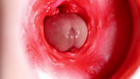 This beautiful pussy is pulsating and squeezing my cock! Camera inside the hole!