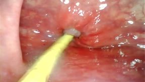 UNLEASHED ANAL&#x1F44C; INTIMACY: LARGE DICK&#x1F32D; POUNDING, DEEP THROAT CUM INSERTION