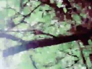 Slutboyben CAM4 Exhibitionist Pig