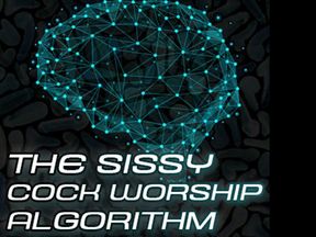 AUDIO ONLY - The sissy algorithm