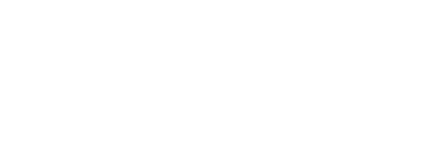 The real estate agent