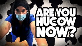 DAY 30 EGG ULTRASOUND – Mocking of Lactation Pregnancy for My Pathetic Tiny-Dicked Hubby