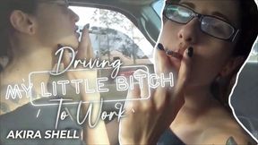 Driving My Little Bitch To Work (Re-Mastered) (HD WMV)