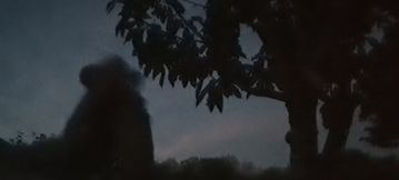 Handjob in the garden after dark