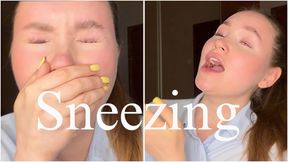 sneezing agony