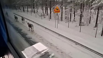 North of Sweden