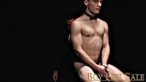 THE BOY DYLAN Chapter 3 - Auction