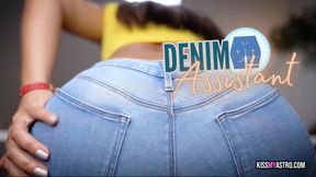 DENIM ASSISTANT
