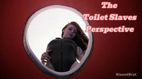 The Toilet Slave Perspective