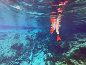 Carissa freediving in a different spring with bonus long flowing red dress underwater