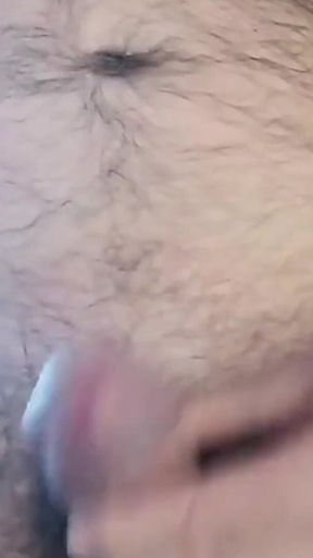 Show on December 27th with Private and Ass on Display