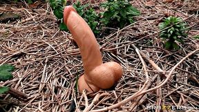Alexis Fawx's Dildo Harvest