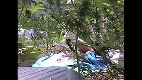 Quick Suck&amp_Fuck In Garden