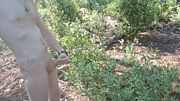 It was a normal walk in the woods - until I get ambushed while cumming!