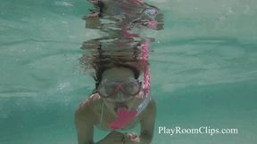 Snorkeling in the Ocean - 720p