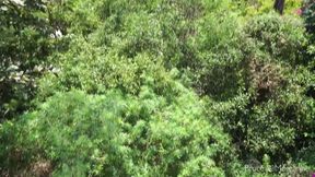 Morgan peeing in nature