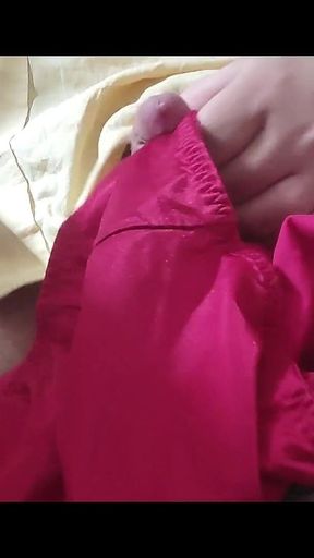 Fapping with Panties on My Cock