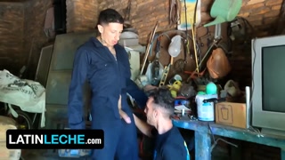 Stuck On The Side Of The Road, Nico Is In Desperate Need Of Assistance