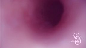 Let's travel inside my peehole together!