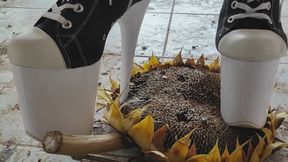 Sunflower chrush in 8 inch platform boots