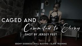 Caged and Committed to Ebony