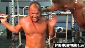 Bearded Jessie enjoys punishment with weight on balls