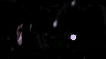 Vintage Japanese erotic animation with hairy ladies