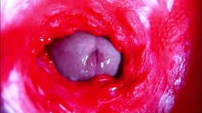 Extreme close-up ASMR head inside wet pussy