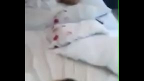 Copia de video-1423782647.mp4