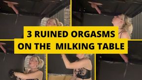 3 ruined orgasms on the milking table