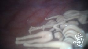 japanese mini girls anal exploration