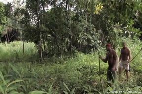 Lords of the Jungle