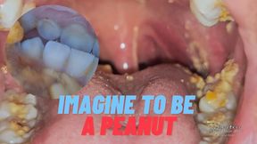 Imagine to be a peanut11