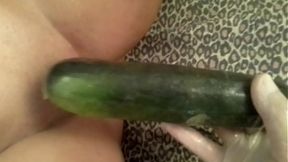 Massive zucchini for a true climax&#x1F680;