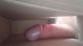 Dick in Box