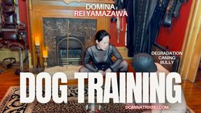 Dog training. I play with My pet